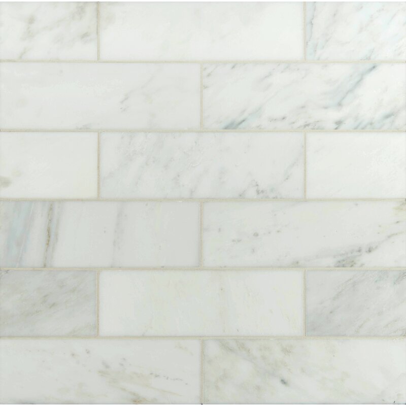 MSI 4" x 12" Polished Marble Tile in Carrara White & Reviews | Wayfair